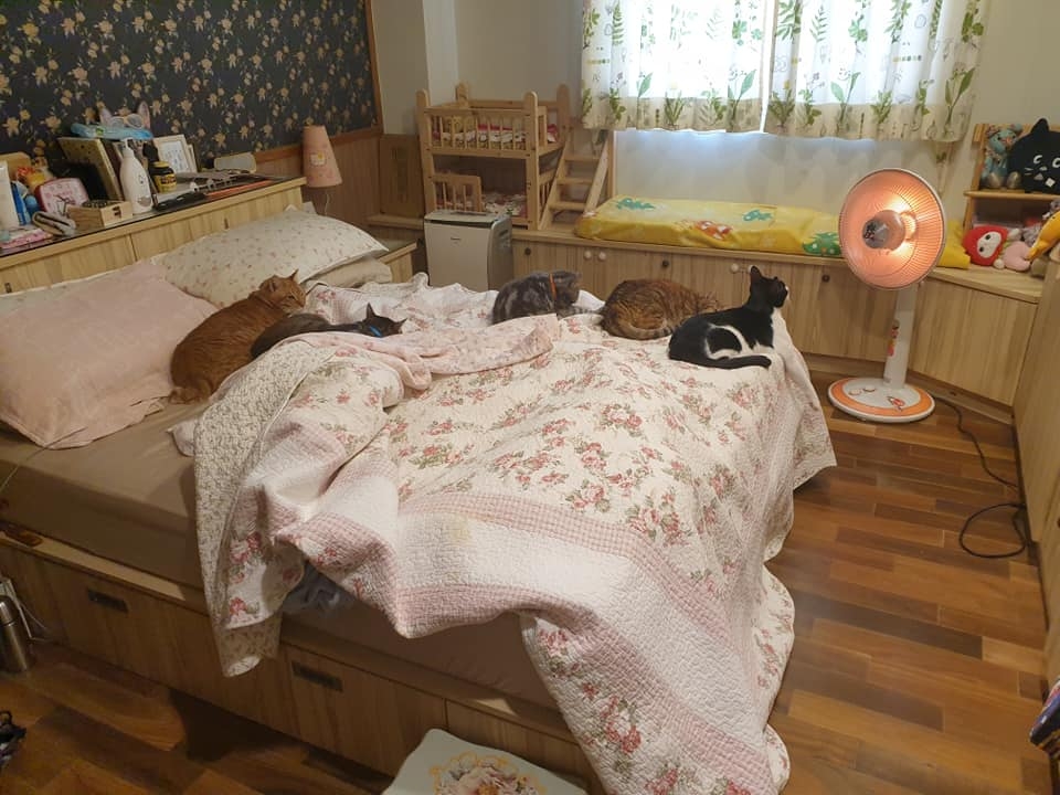 網友王小姐提供