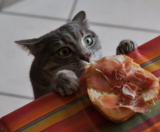 Pinterest