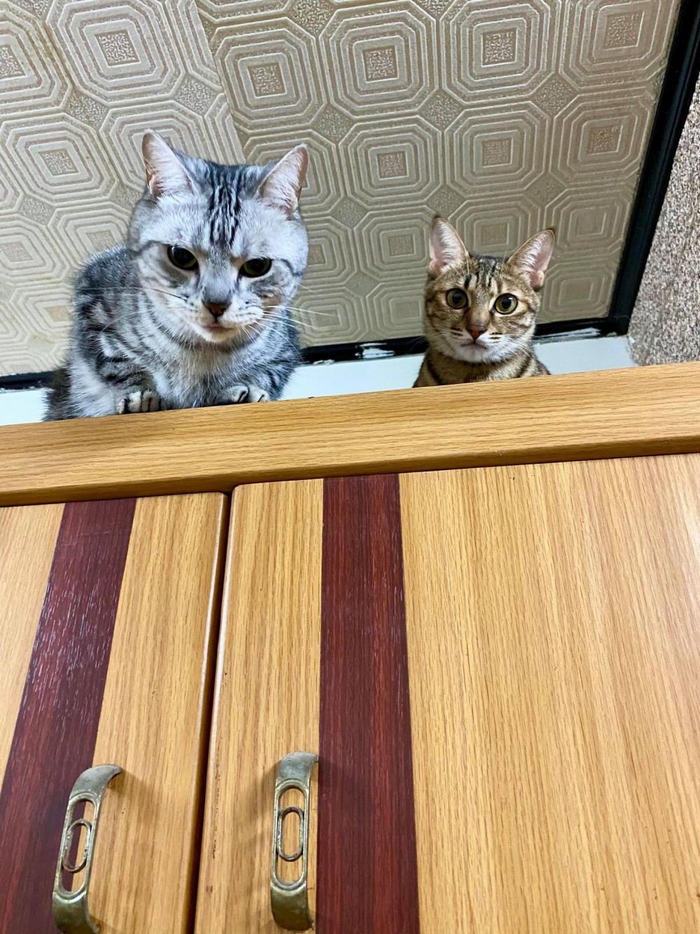 網友Yi Ting Wu提供