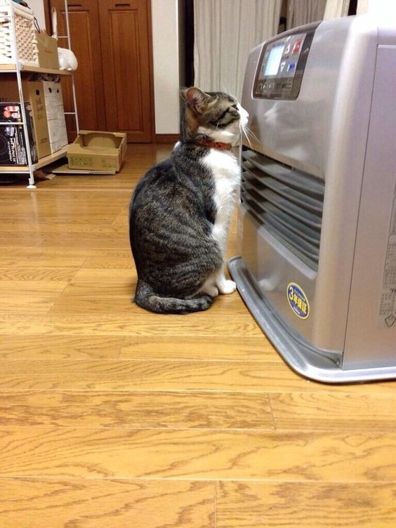 Pinterest