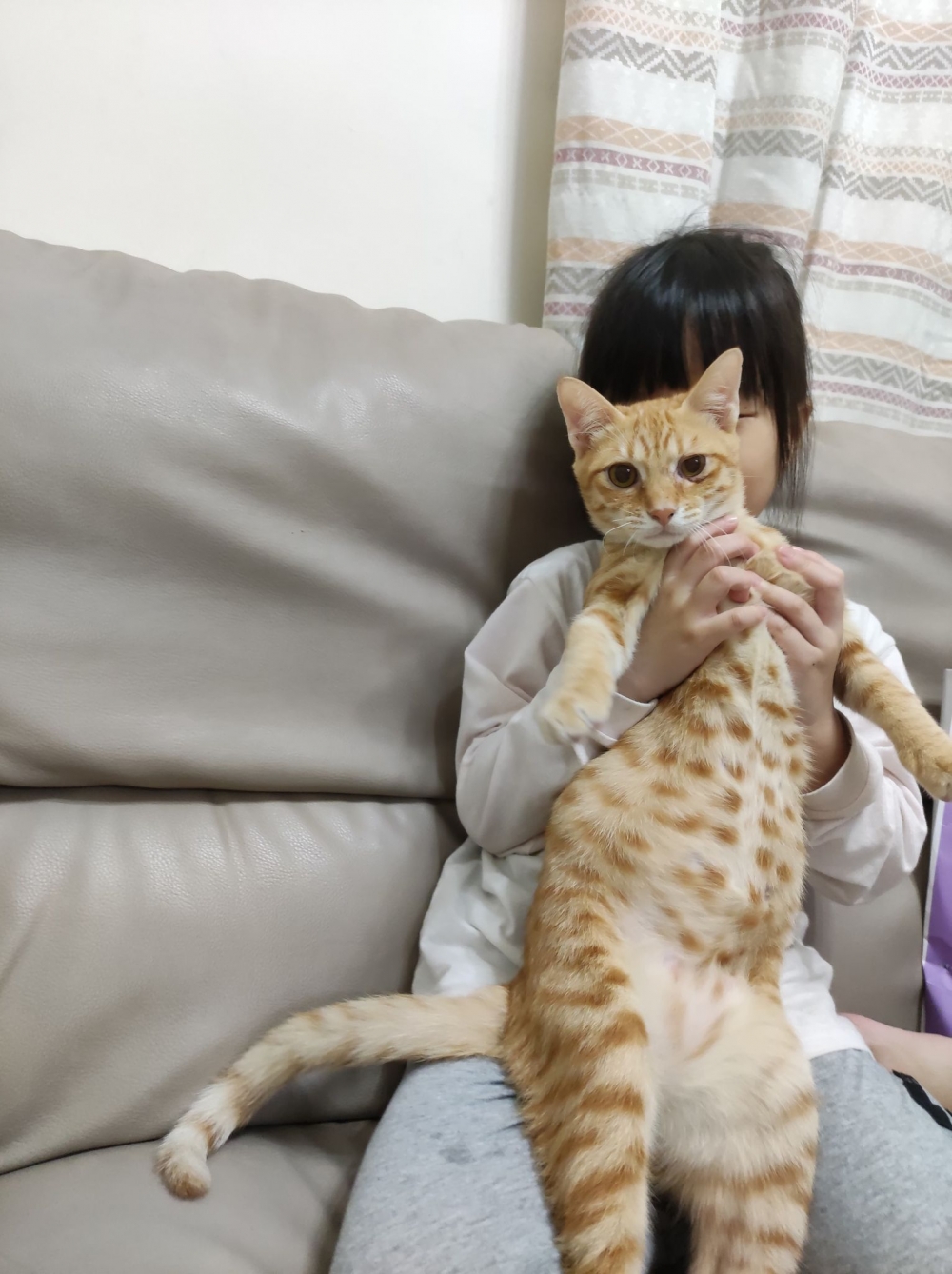 網友Abby Lai小姐提供