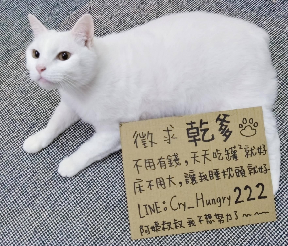 網友庭瑜小姐提供