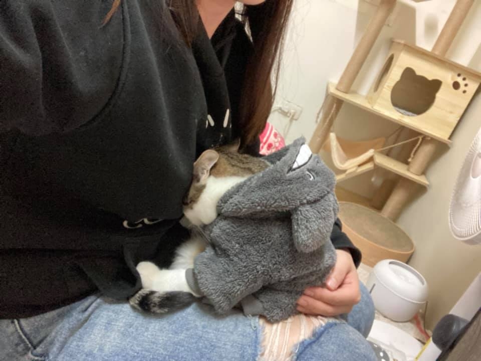 網友蕭于禎小姐提供