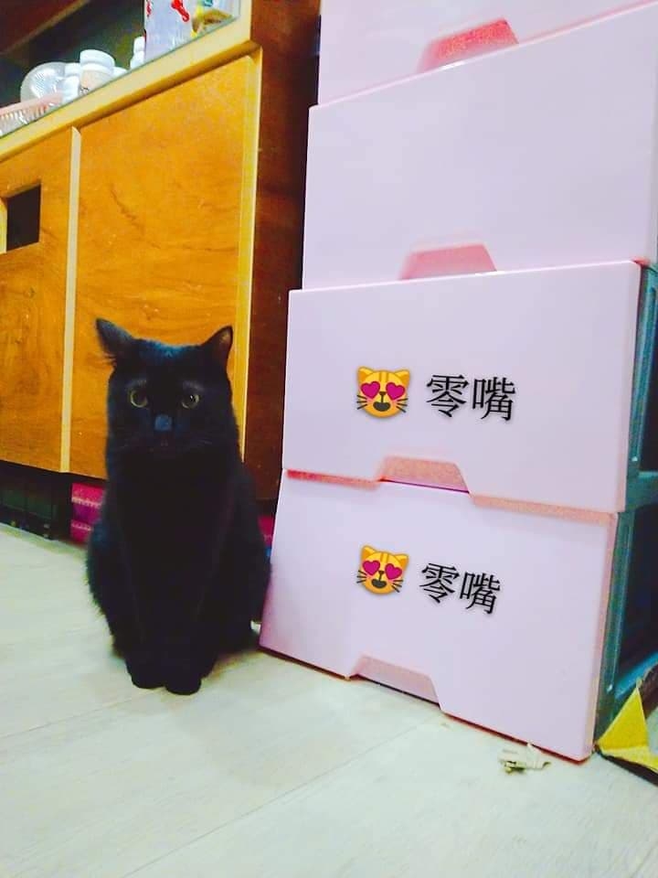 網友謝晴晴小姐提供