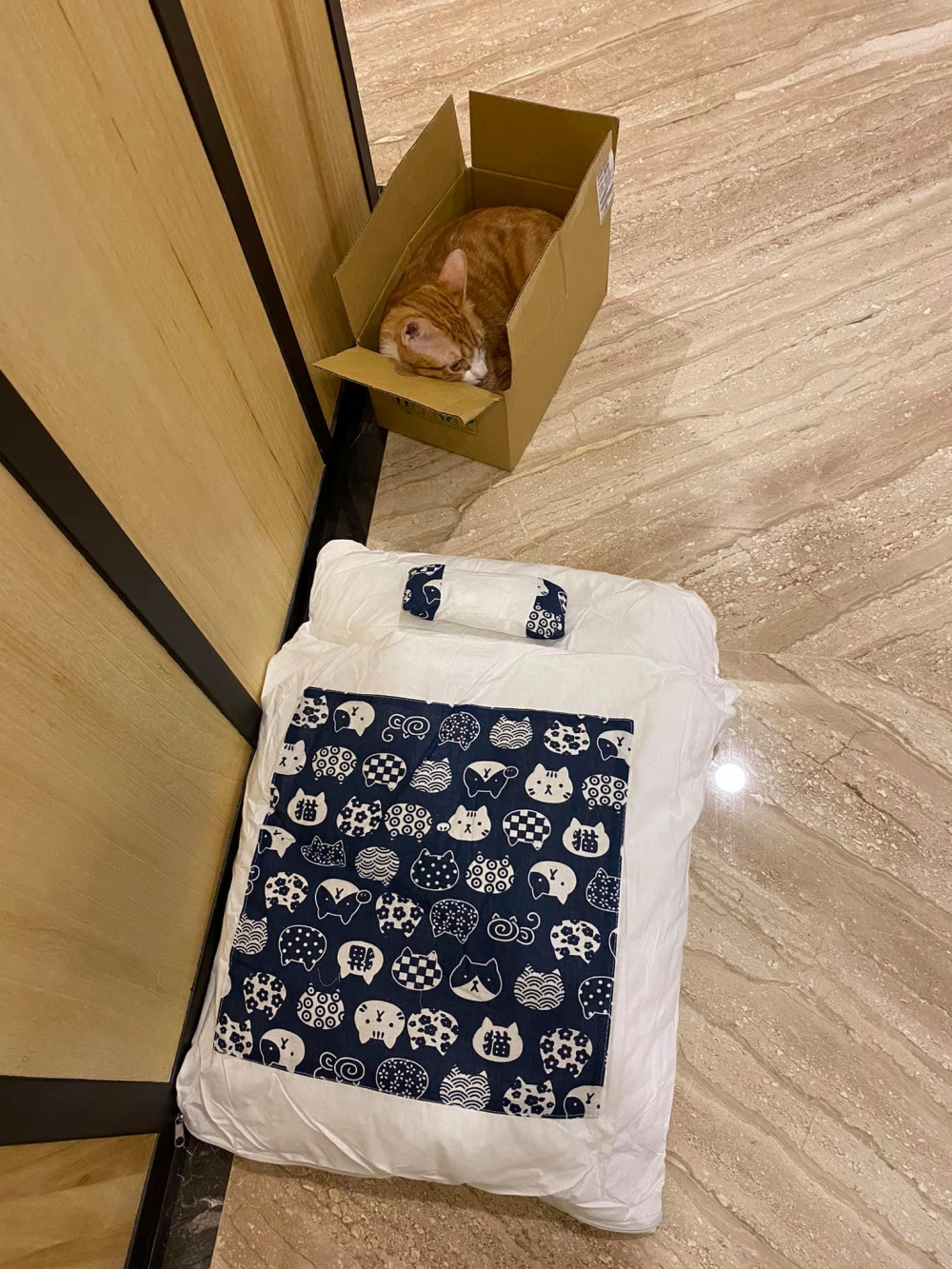 網友Mandy Chiang提供