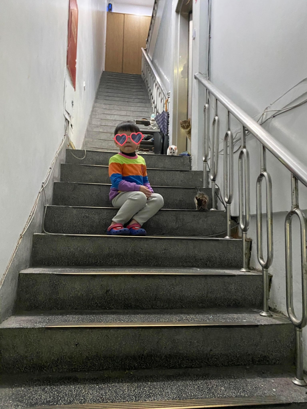 網友林小姐提供
