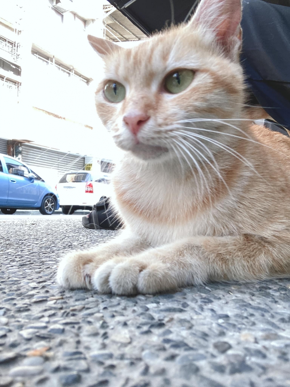 網友賴拉拉小姐提供