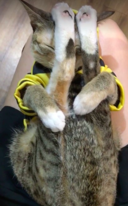 網友趙小姐提供