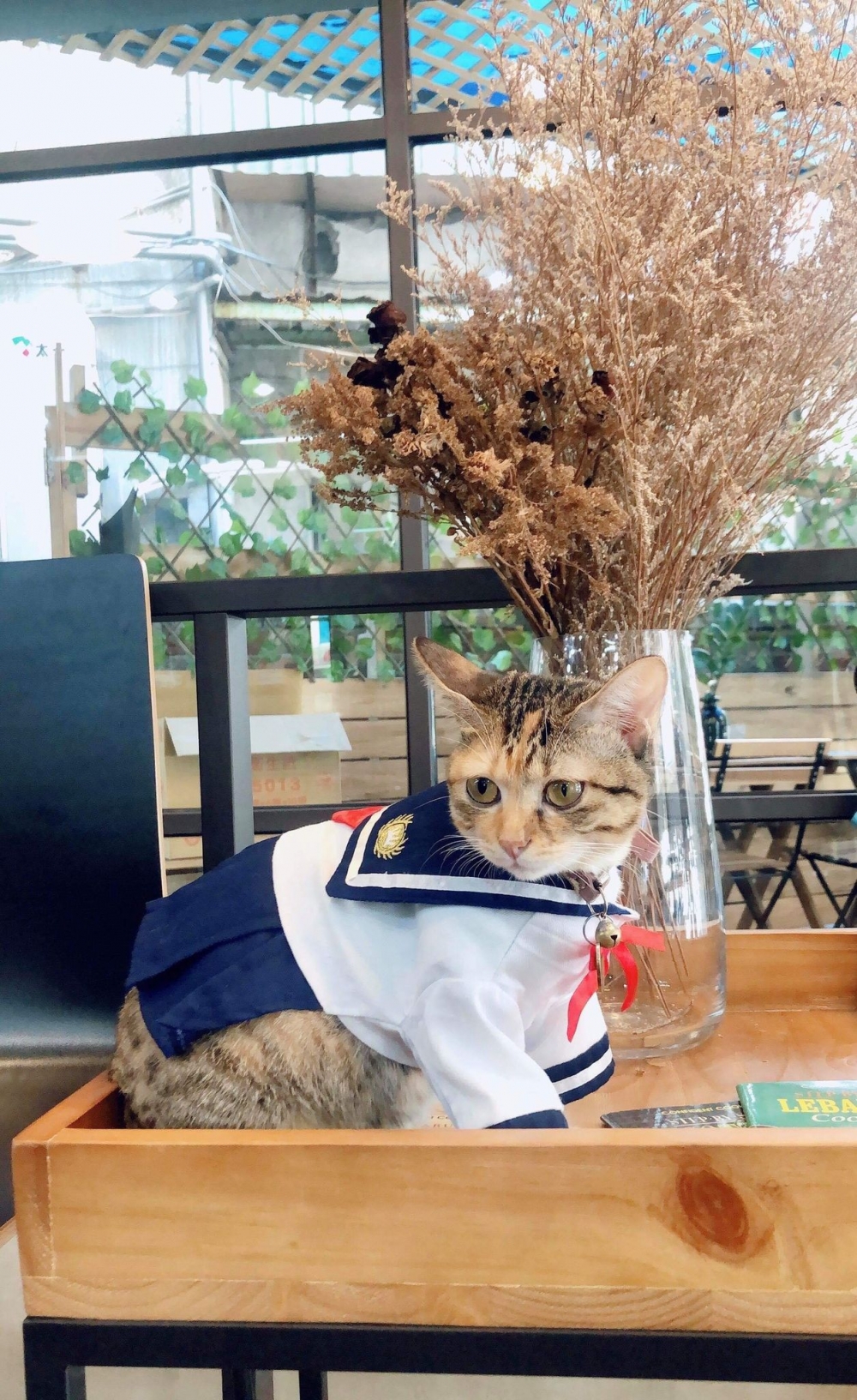網友趙小姐提供