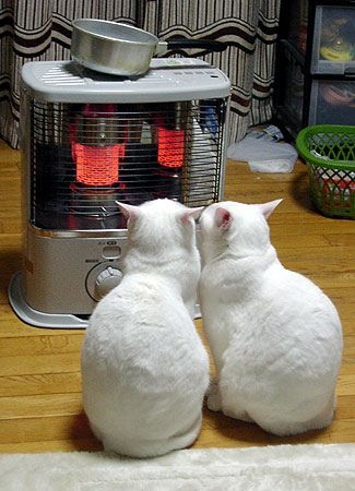 Pinterest
