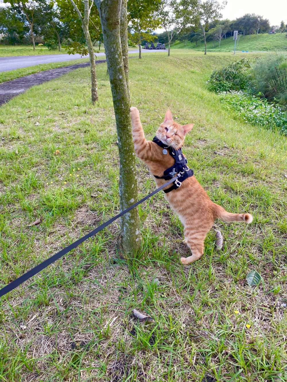 網友黃怡瑤小姐提供