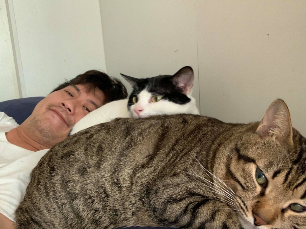 網友劉炘先生提供