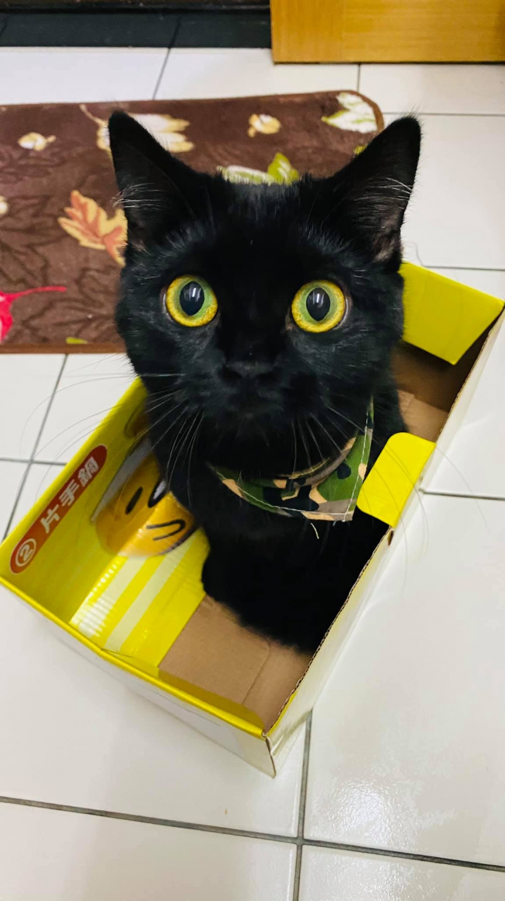 網友賴小姐提供