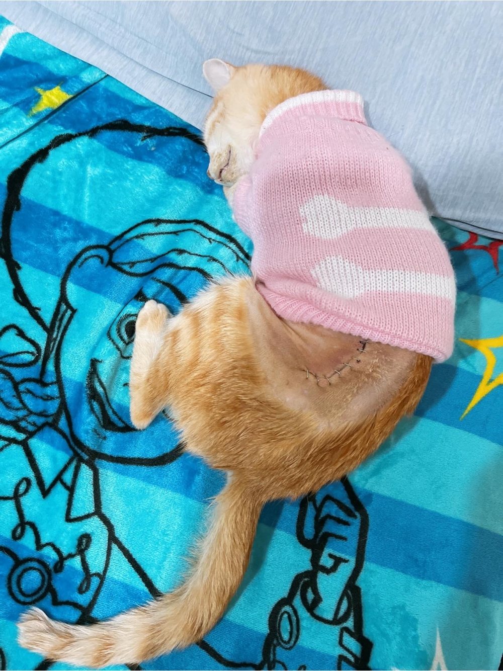 網友賴拉拉小姐提供