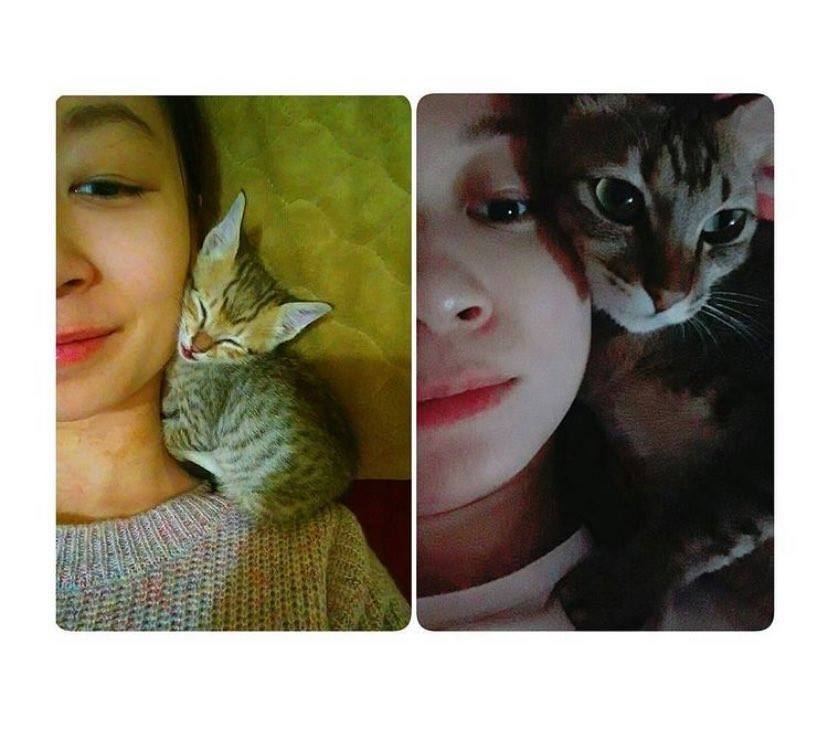 網友陳郁文小姐提供