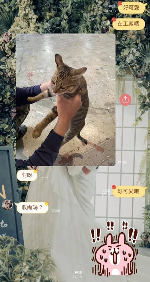 網友Jia Xuan小姐提供