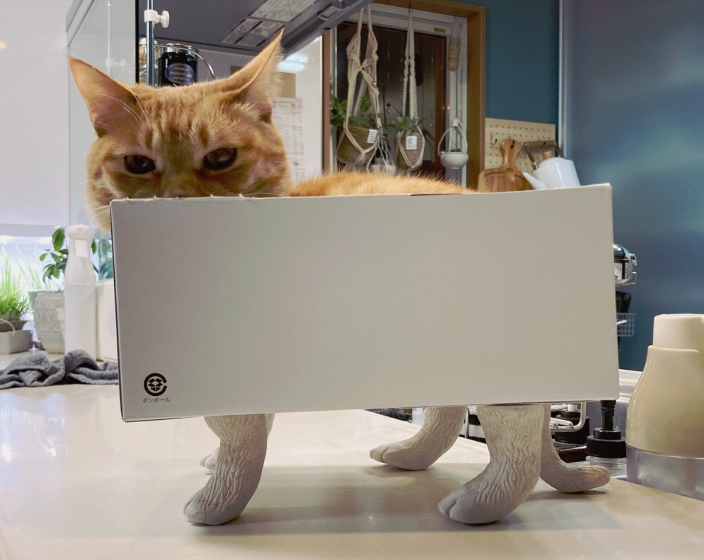 twitter @SHAKEhizi_BSK 