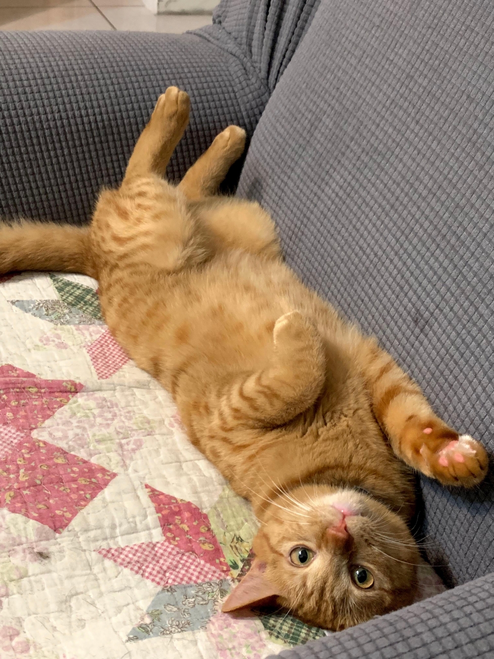 網友緒娟小姐提供