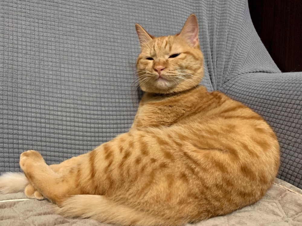 網友緒娟小姐提供