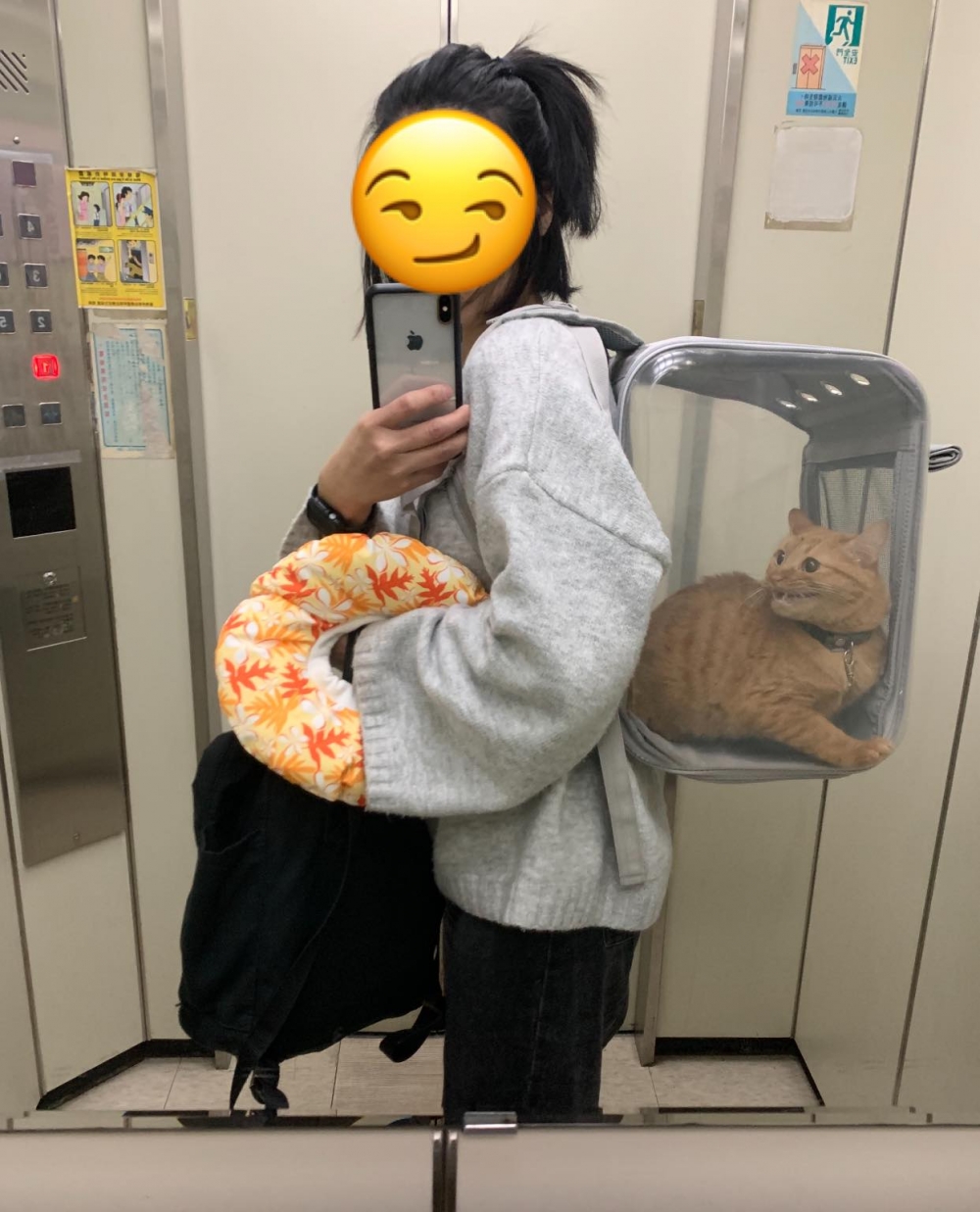 網友緒娟小姐提供