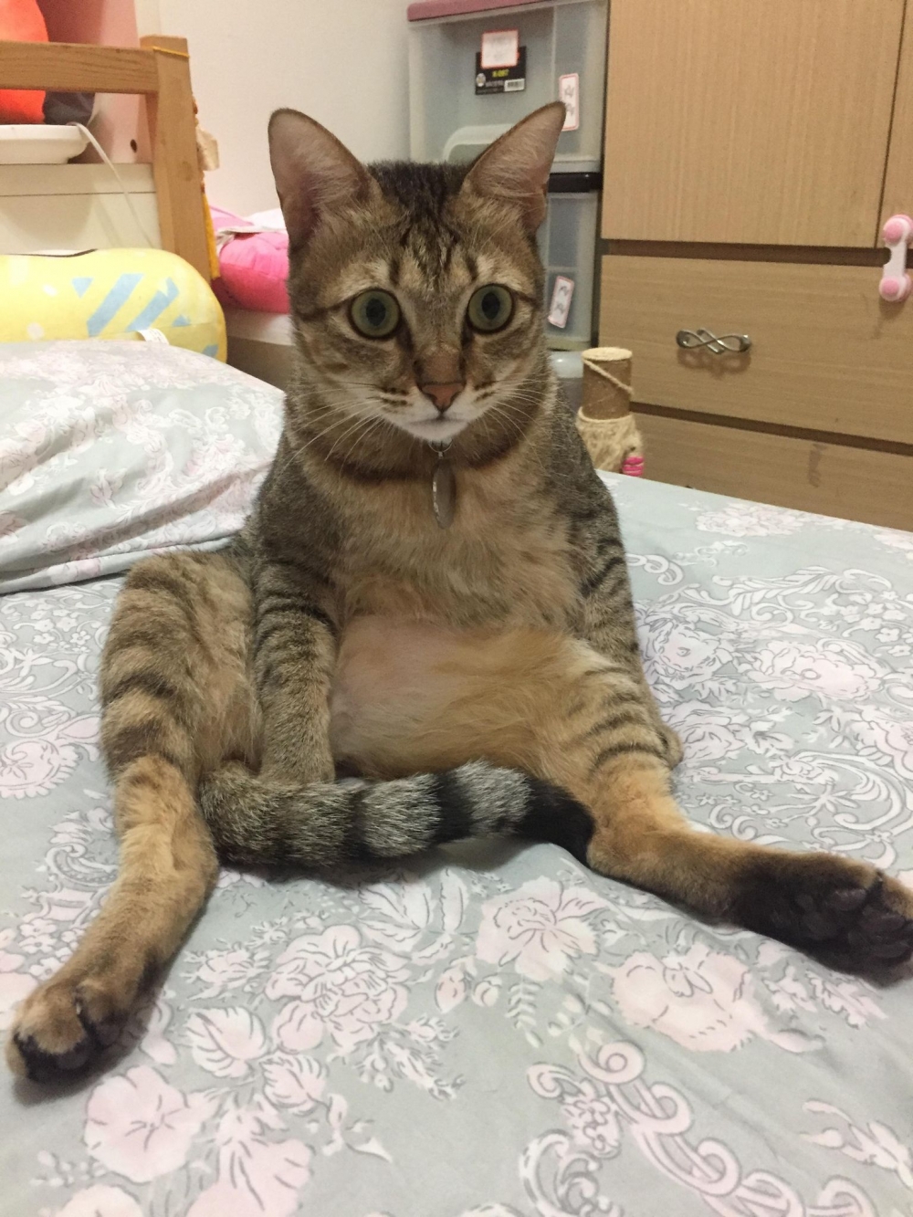 網友陳郁文小姐提供