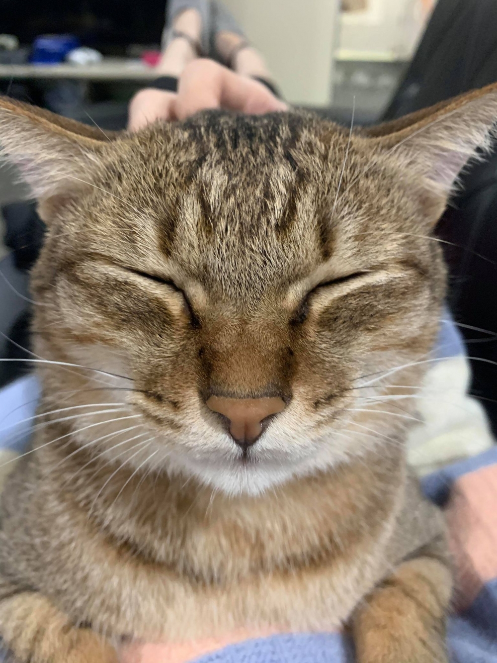 網友陳郁文小姐提供