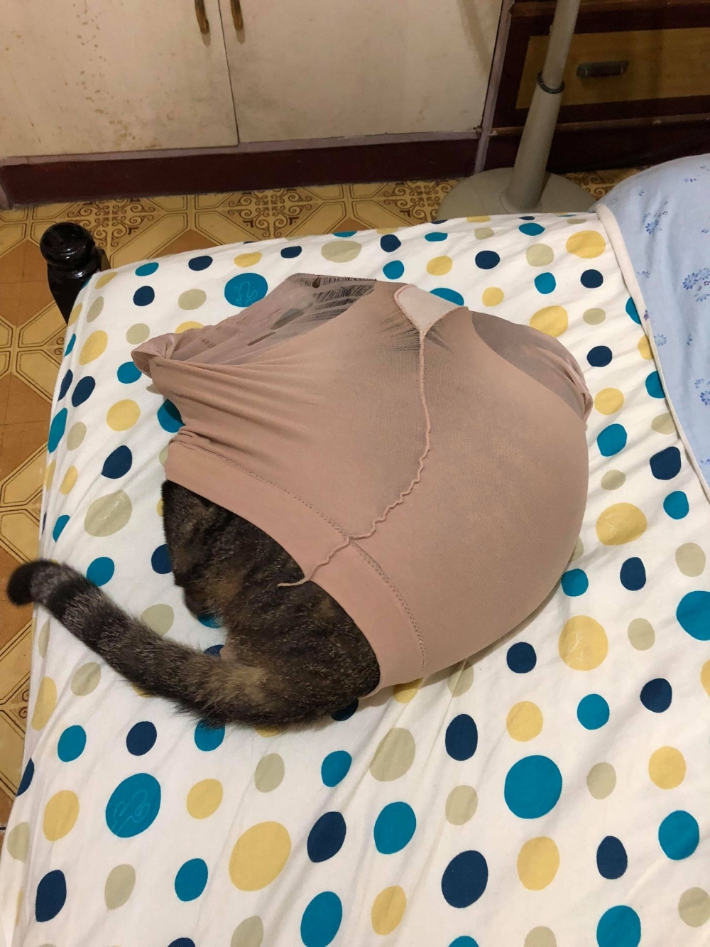 網友許心心小姐提供