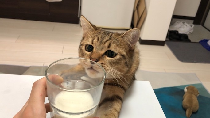 twitter @minira_diary