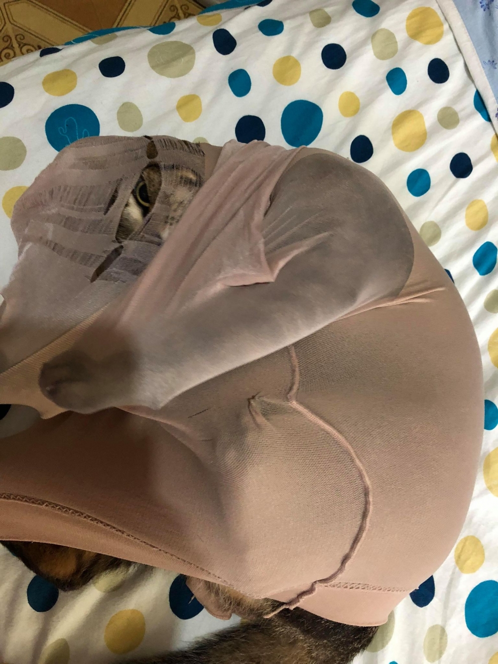 網友許心心小姐提供