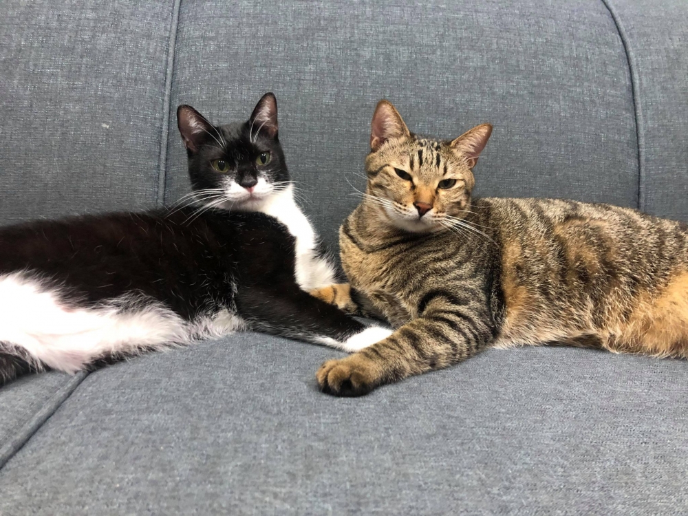 網友許心心小姐提供