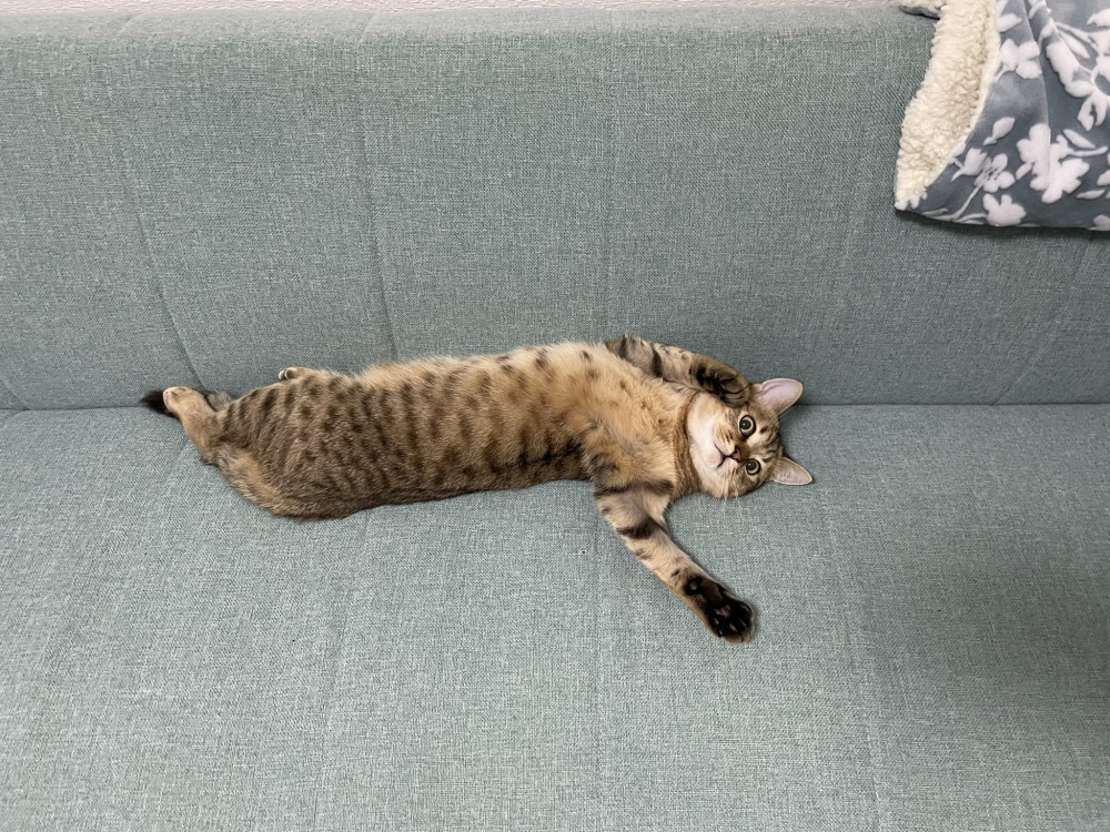 twitter minira_diary