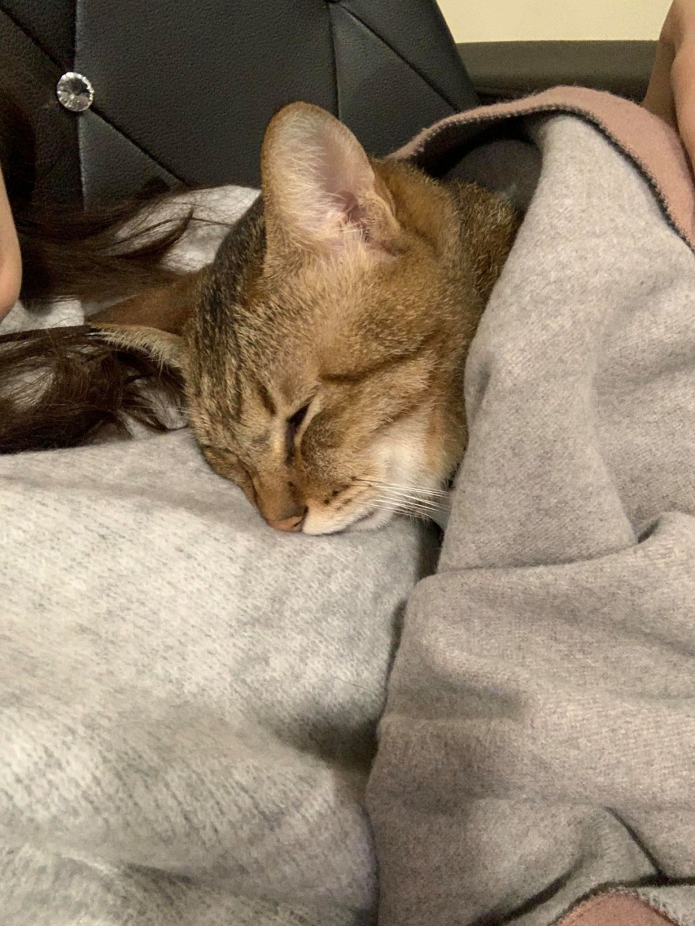 網友陳郁文小姐提供