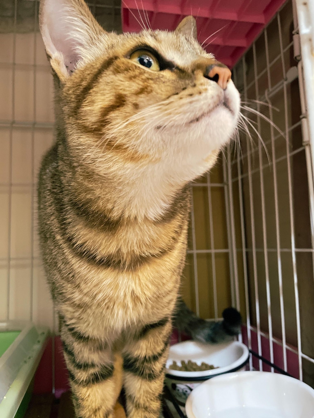 網友Jia Xuan小姐提供