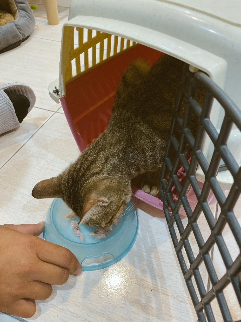 網友Jia Xuan小姐提供