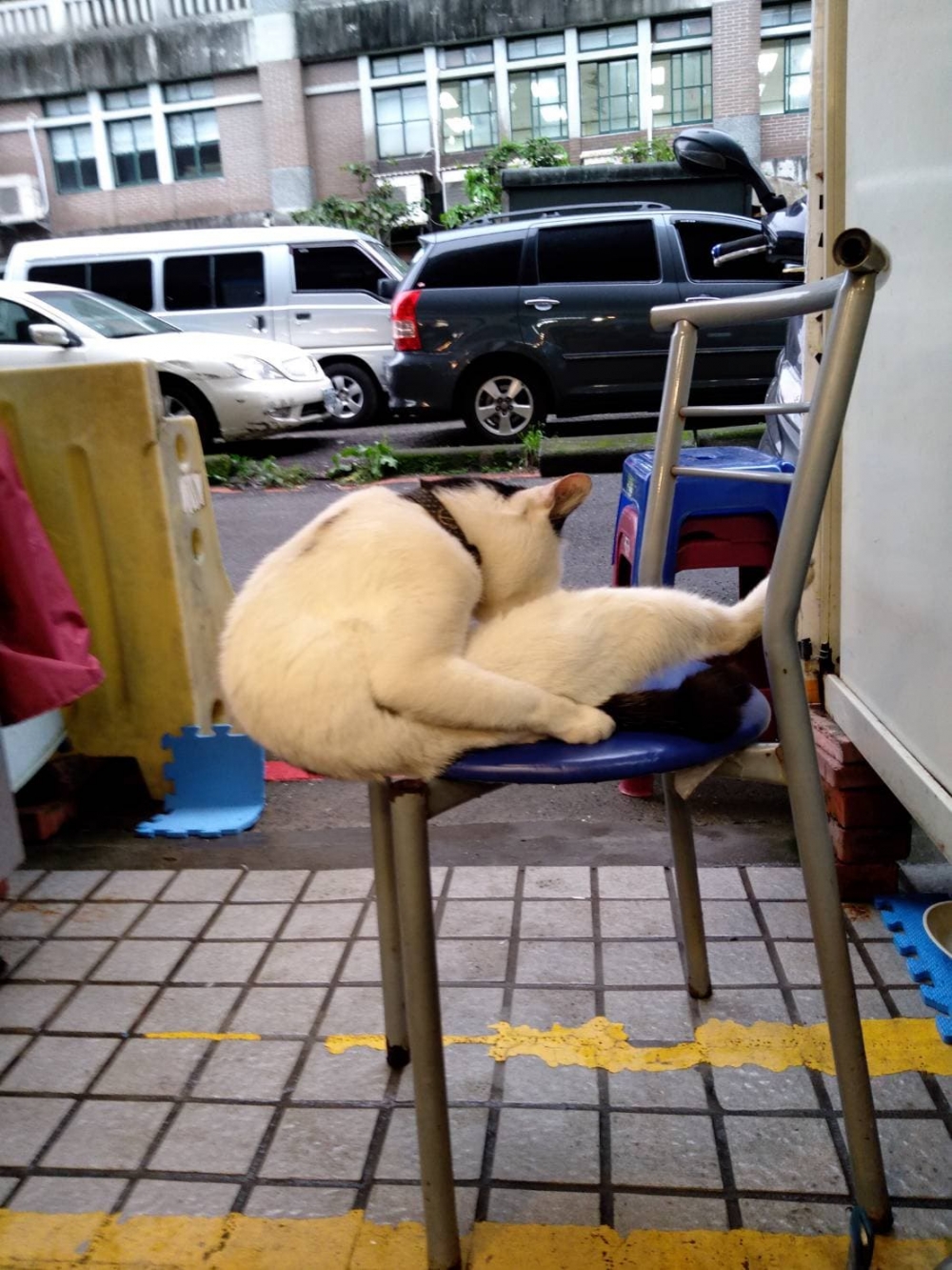 網友吳重輝先生提供