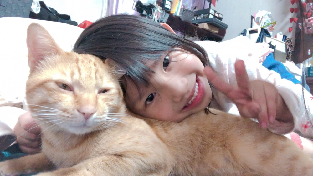 網友Niku Chen提供