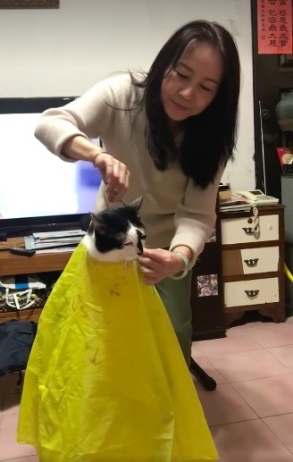 網友chco liu先生提供