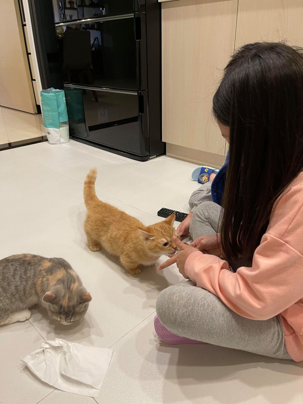 網友Clara Cheng小姐提供