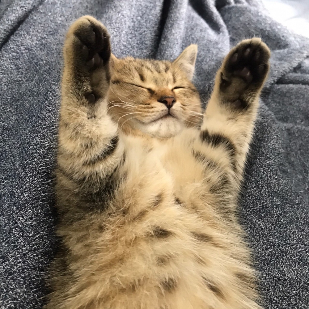 twitter minira_diary