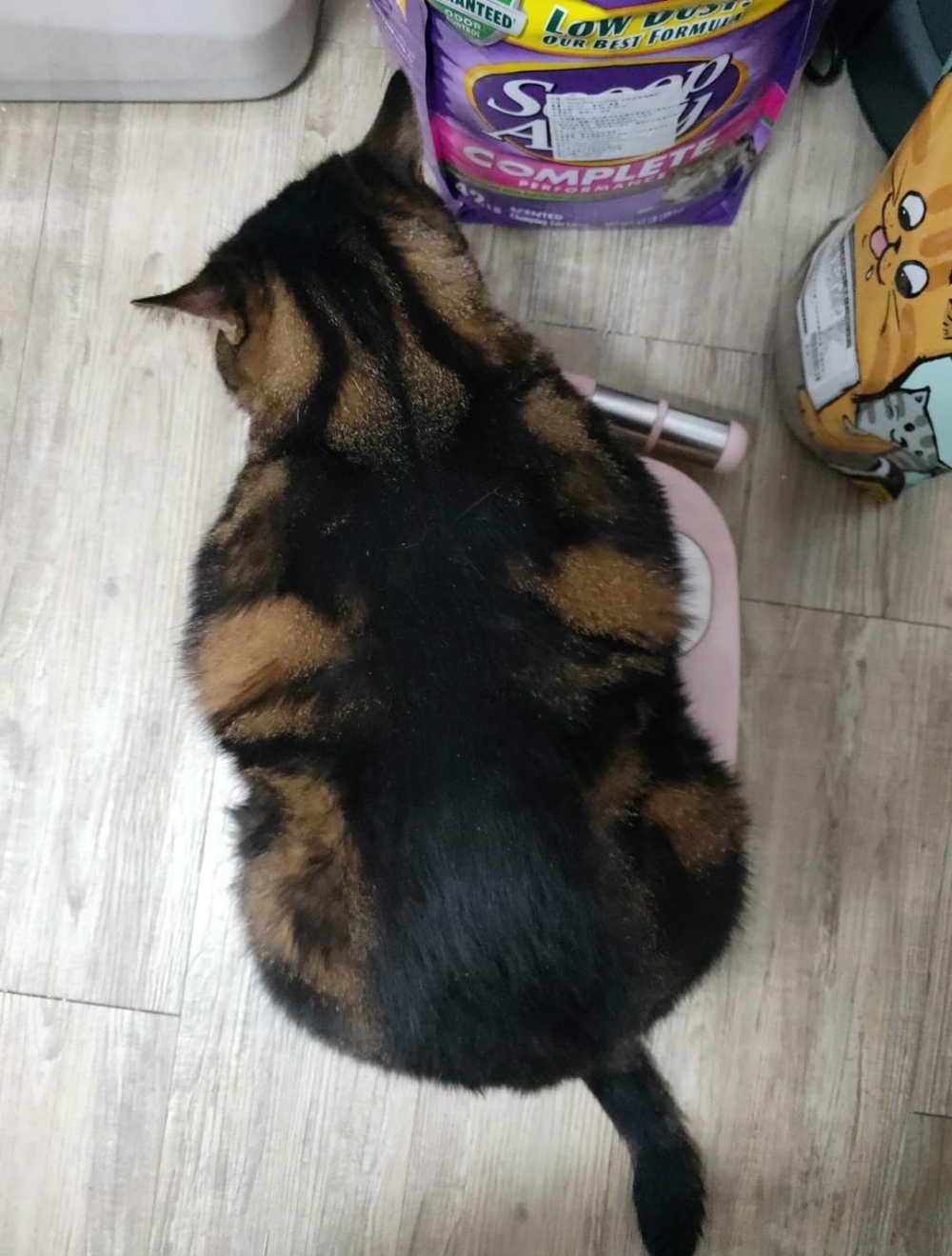 網友葉小姐提供