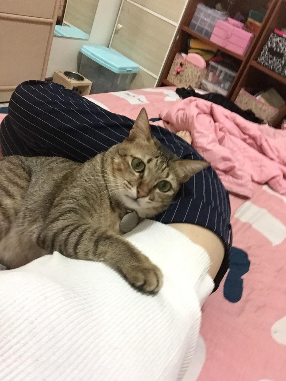 網友陳郁文小姐提供