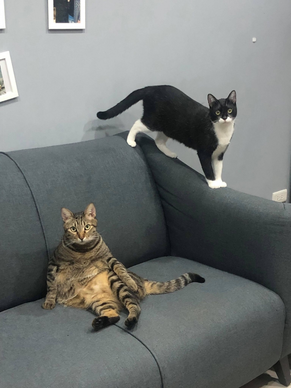 網友許心心小姐提供