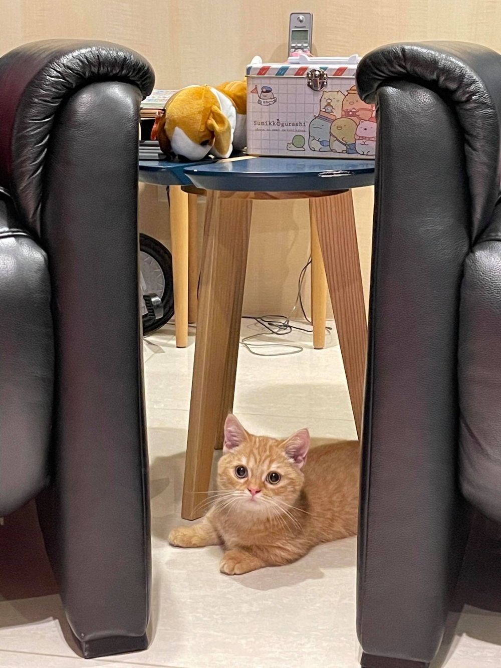 網友Clara Cheng小姐提供