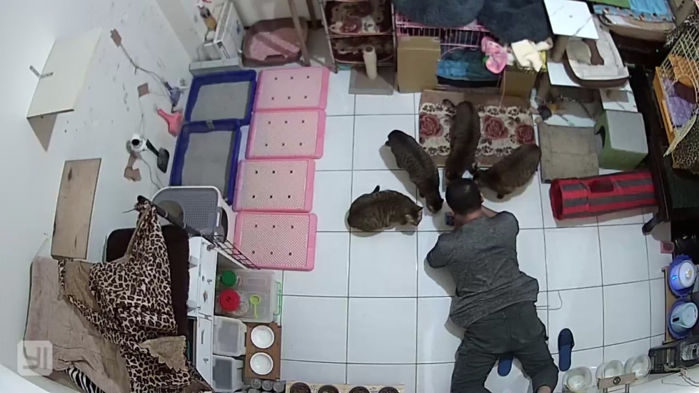 網友陳淑樺小姐提供