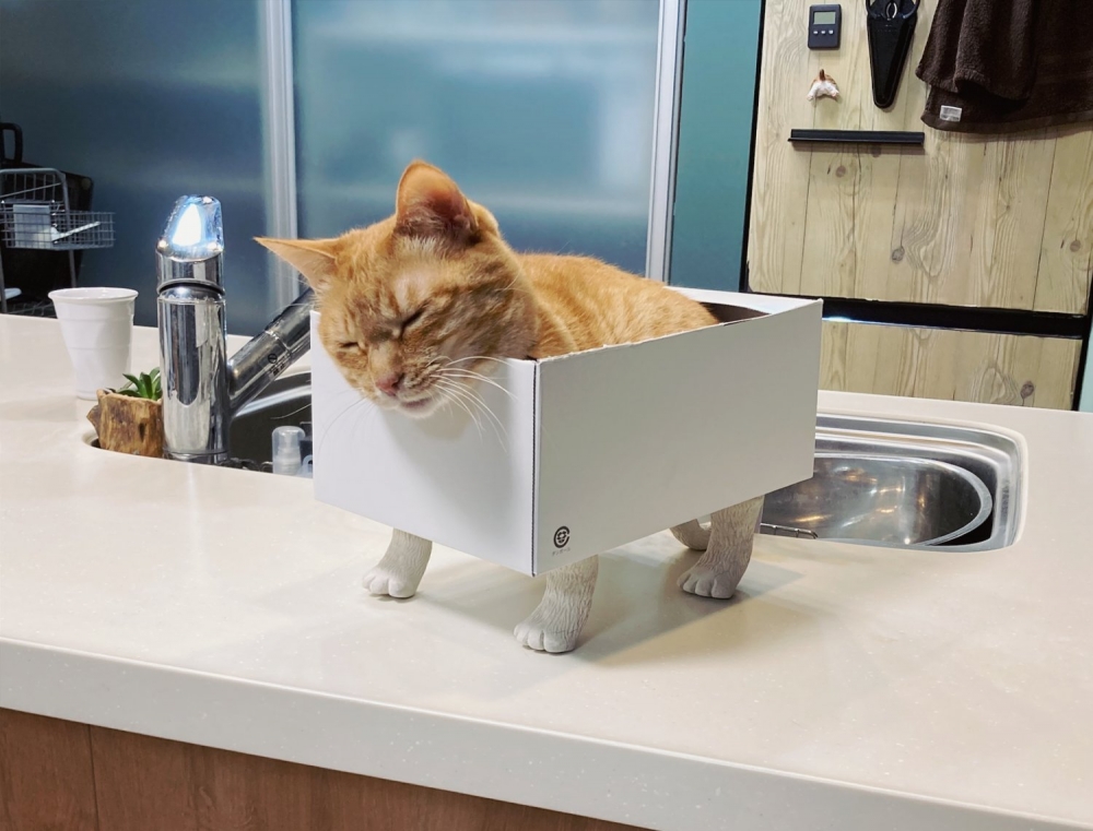 twitter @SHAKEhizi_BSK 