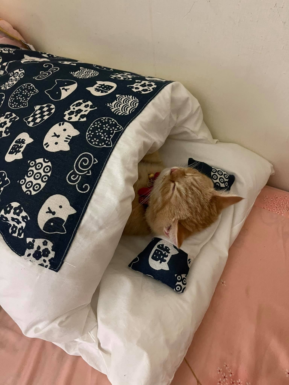 網友Clara Cheng小姐提供