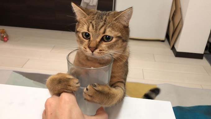 twitter @minira_diary