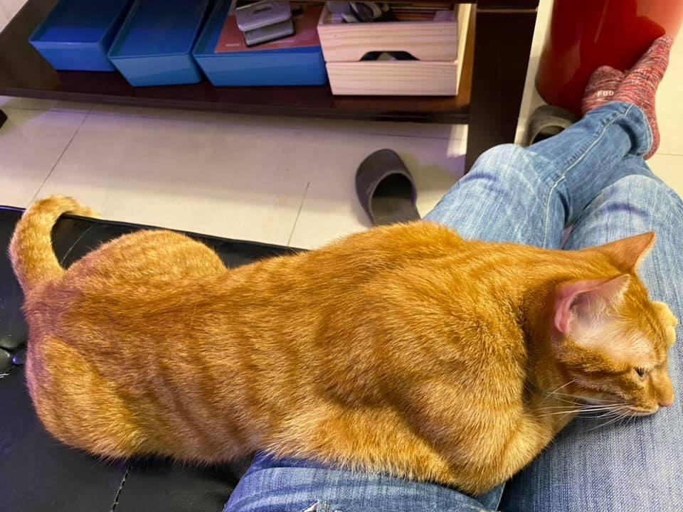 網友周承靜小姐提供