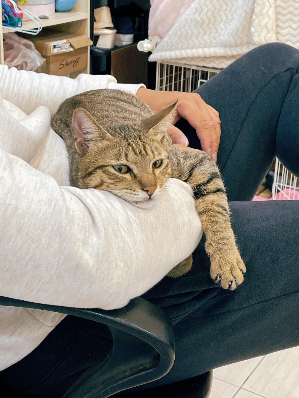 網友Jia Xuan小姐提供