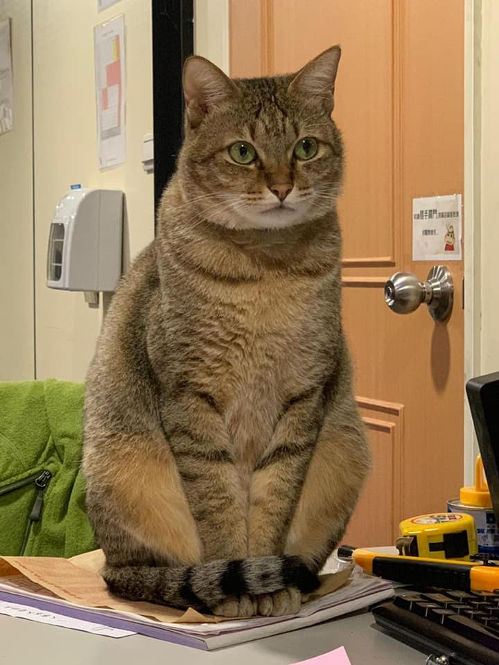 網友陳郁文小姐提供